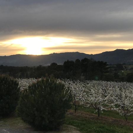 Quinta Da Porta - Solar De Vale De Prazeres Villa ภายนอก รูปภาพ