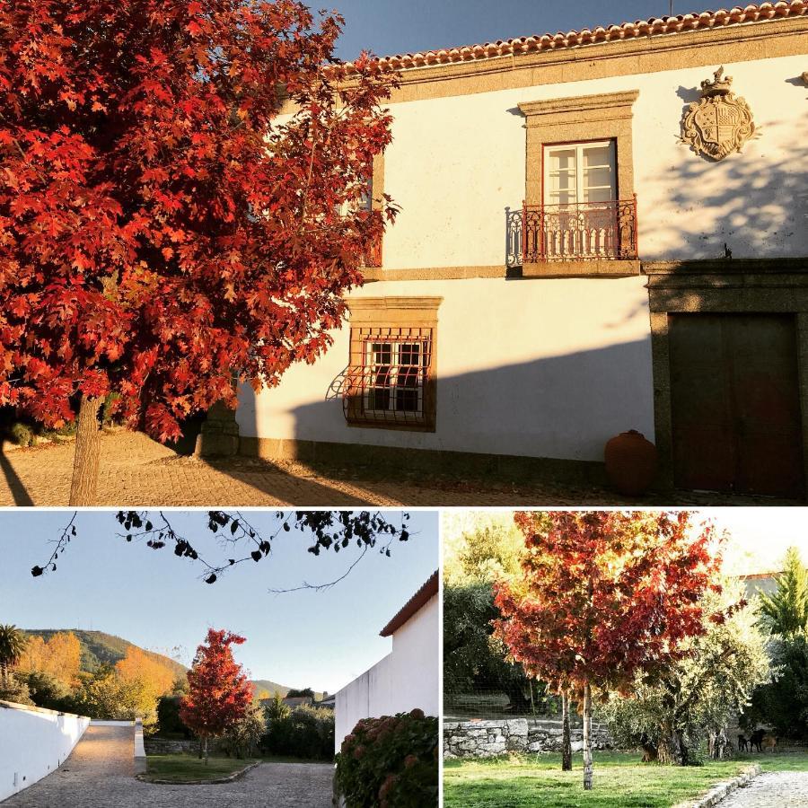 Quinta Da Porta - Solar De Vale De Prazeres Villa ภายนอก รูปภาพ