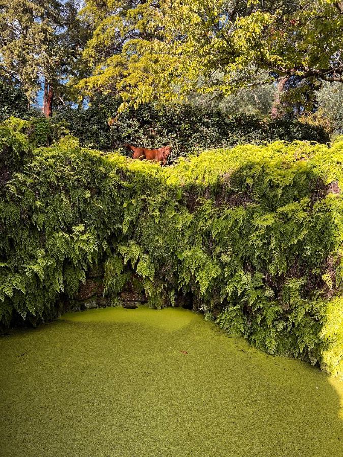Quinta Da Porta - Solar De Vale De Prazeres Villa ภายนอก รูปภาพ