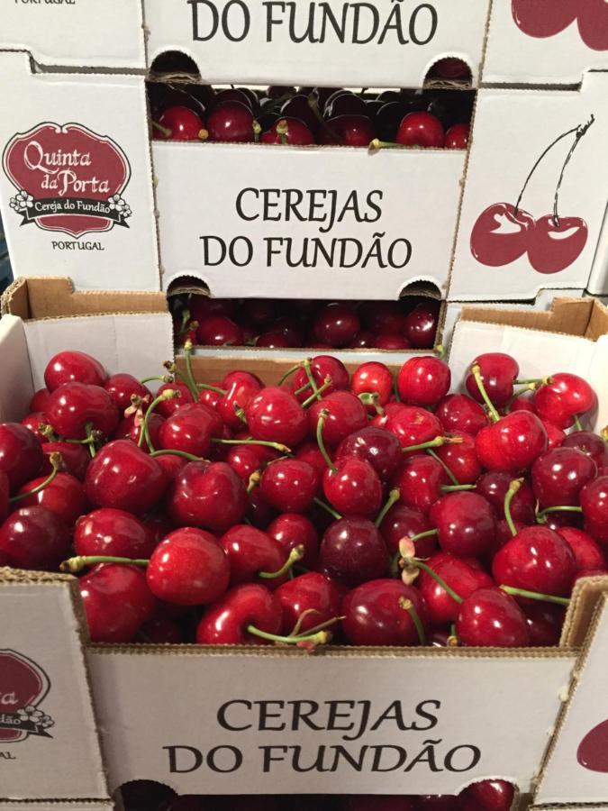 Quinta Da Porta - Solar De Vale De Prazeres Villa ภายนอก รูปภาพ