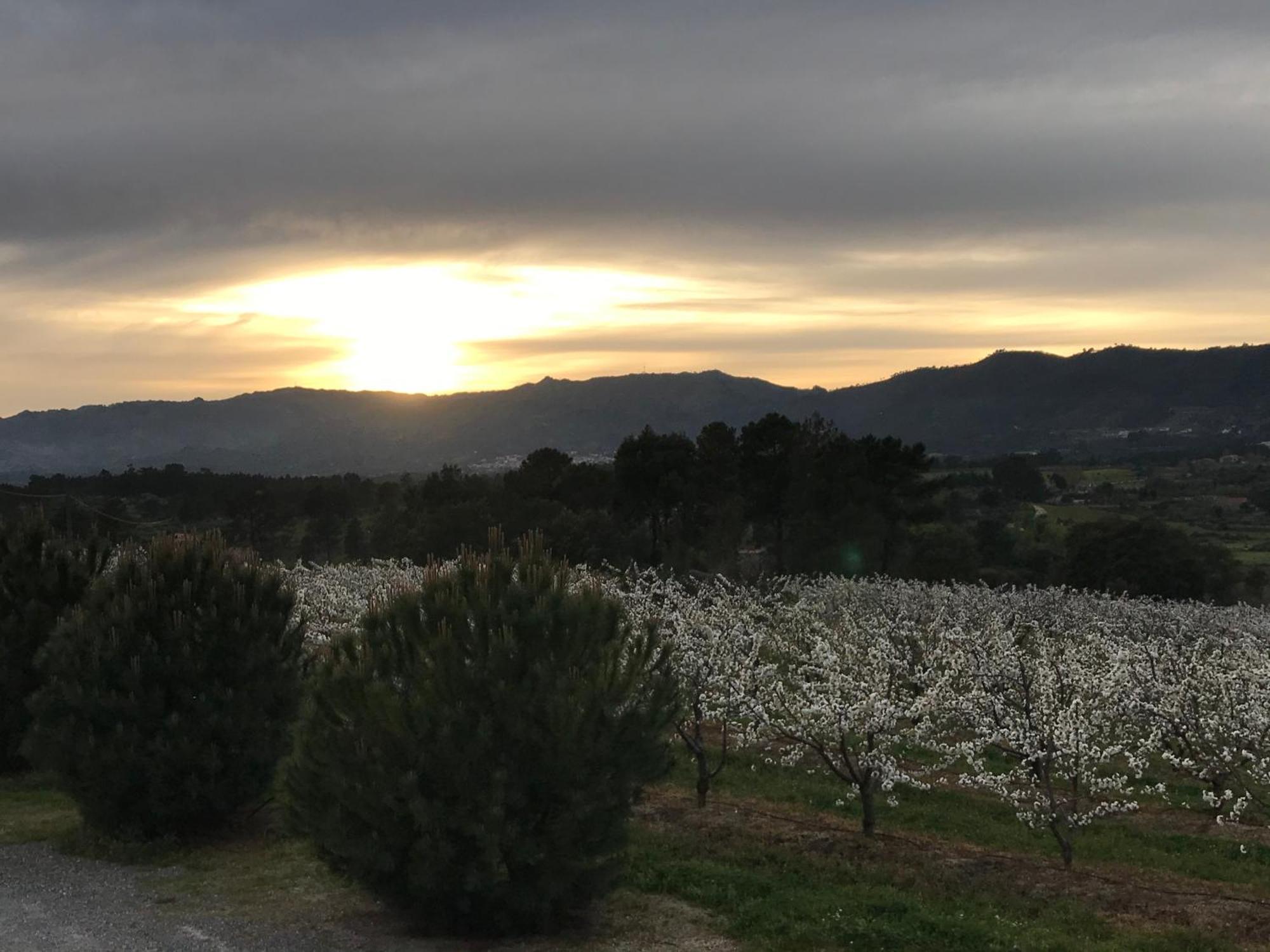 Quinta Da Porta - Solar De Vale De Prazeres Villa ภายนอก รูปภาพ