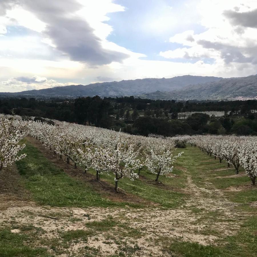 Quinta Da Porta - Solar De Vale De Prazeres Villa ภายนอก รูปภาพ