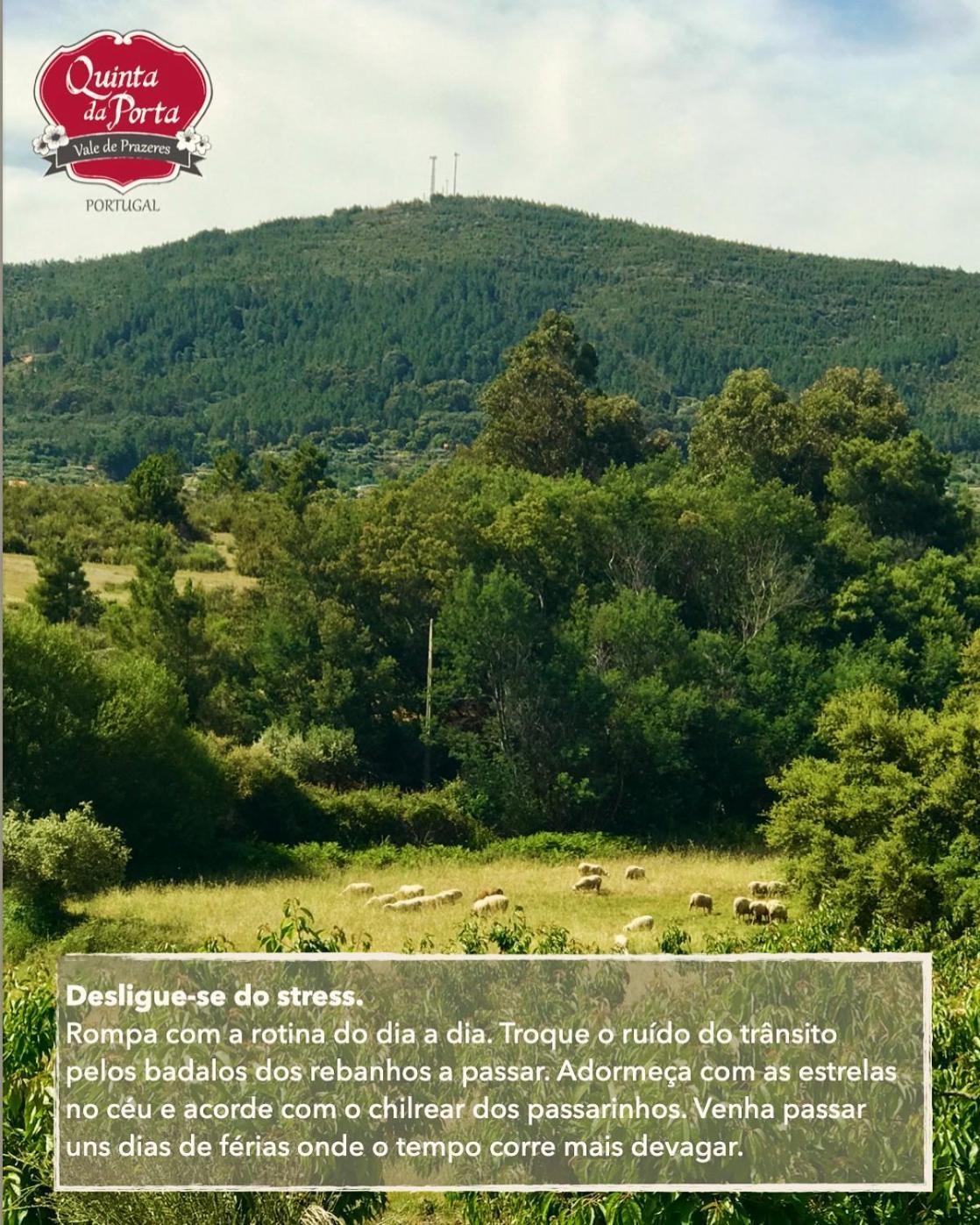 Quinta Da Porta - Solar De Vale De Prazeres Villa ภายนอก รูปภาพ
